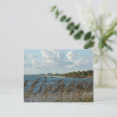 Neapel Beach Dunes Postkarte (Stehend Vorderseite)