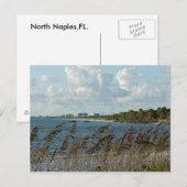 Neapel Beach Dunes Postkarte (Vorne/Hinten)
