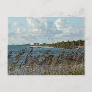 Neapel Beach Dunes Postkarte