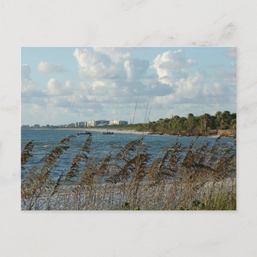 Neapel Beach Dunes Postkarte (Vorderseite)