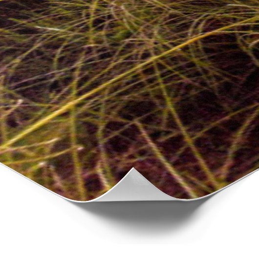 Neapel Beach Florida Poster (Ecke)