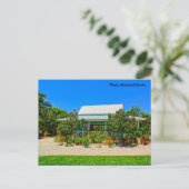 Neapel Florida Botanischer Garten - Karibischer Ga Postkarte (Stehend Vorderseite)