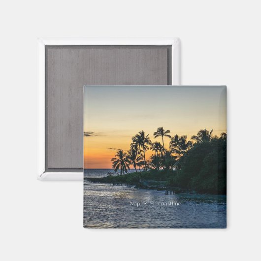 Neapel, Florida, landschaftliche Küste, Magnet (Vorderseite/Rückseite)