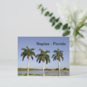 Neapel Florida Postkarte (Stehend Vorderseite)