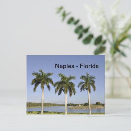 Neapel Florida Postkarte (Stehend Vorderseite)