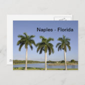 Neapel Florida Postkarte (Vorne/Hinten)