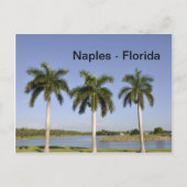Neapel Florida Postkarte (Vorderseite)