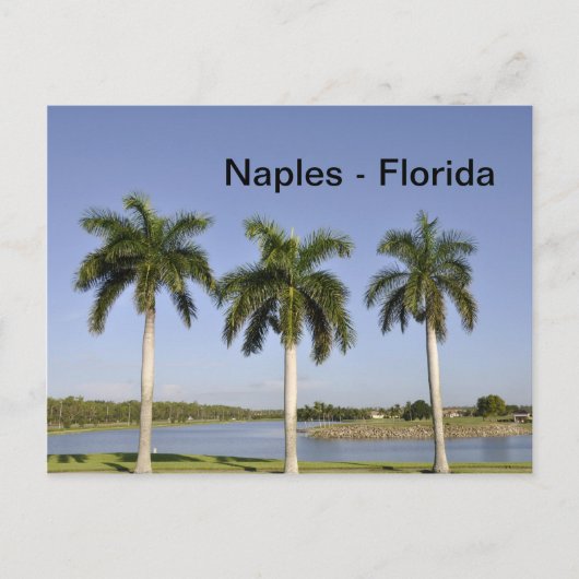 Neapel Florida Postkarte (Vorderseite)