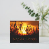 Neapel Florida Sunset Postcard Postkarte (Stehend Vorderseite)