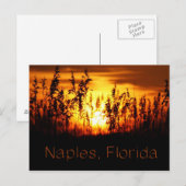 Neapel Florida Sunset Postcard Postkarte (Vorne/Hinten)
