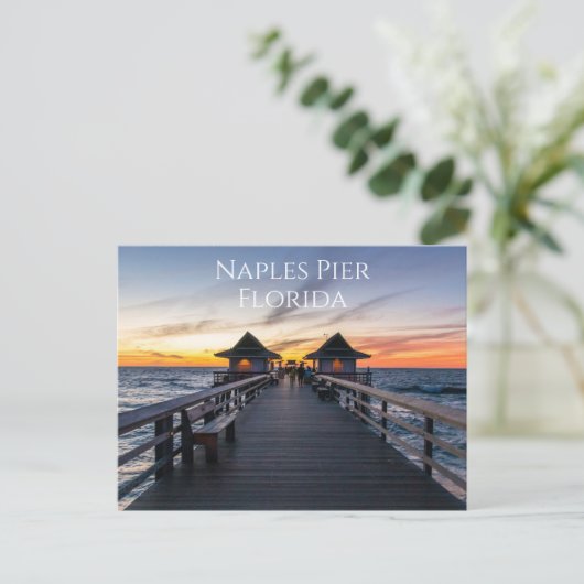 Neapel Pier Florida Postcard Postkarte (Stehend Vorderseite)