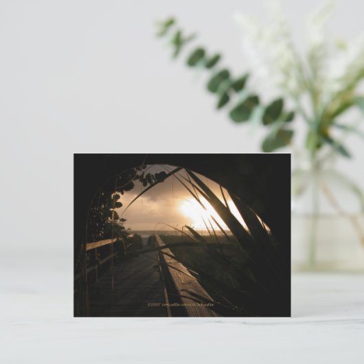 Neapel Sunset Postkarte (Stehend Vorderseite)