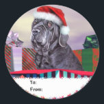 Neapolitan Mastiff Christmas Blue Gift Tags Runder Aufkleber<br><div class="desc">Teilen Sie eine Urlaubserlebnis mit diesem Blue Neapolitan Mastiff,  der eine Weihnachtsmannmütze trägt,  die aus einer riesigen Geschenkboxen kommt. Weihnachtskunst von Danes-R-Us bringt in dieser Saison jedem Hundefreund ein Lächeln ins Gesicht.</div>