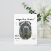 Neapolitan Mastiff (grau) Geschichtsdesign Postkarte (Stehend Vorderseite)