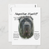 Neapolitan Mastiff (grau) Geschichtsdesign Postkarte (Vorne/Hinten)