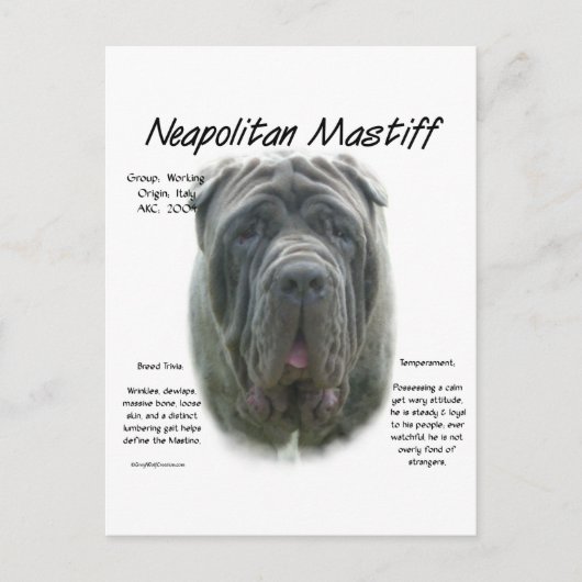 Neapolitan Mastiff (grau) Geschichtsdesign Postkarte (Vorderseite)