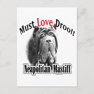Neapolitan Mastiff muss Liebe Drool Postkarte