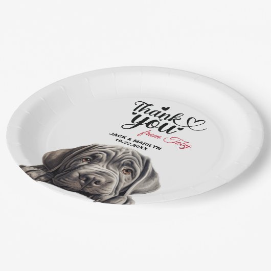 Neapolitan Mastiff Pappteller (Schrägansicht)