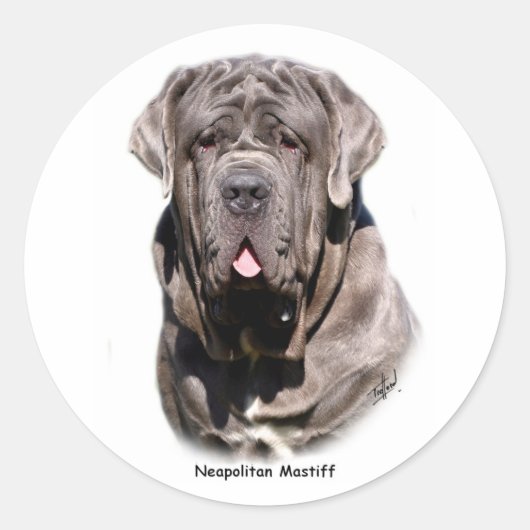 Neapolitan Mastiff Runder Aufkleber (Vorderseite)