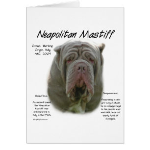 Neapolitan Mastiff (Tawny) Historisches Design
