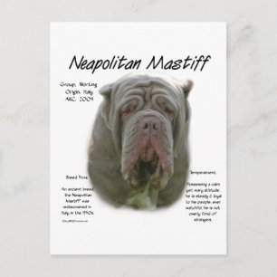 Neapolitan Mastiff (Tawny) Historisches Design Postkarte