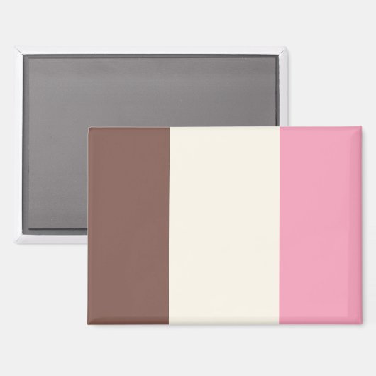 Neapolitanes Eiscreme-Muster Magnet (Vorderseite/Rückseite)