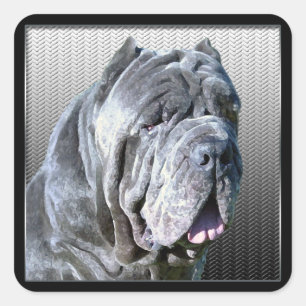 Neapolitanischer Mastiff-Aufkleber Quadratischer Aufkleber