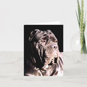 Neapolitanischer Mastiff Karte
