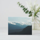 Near Falls Creek Falls Washington Postcard Postkarte (Stehend Vorderseite)