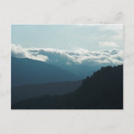 Near Falls Creek Falls Washington Postcard Postkarte