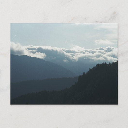 Near Falls Creek Falls Washington Postcard Postkarte (Vorderseite)