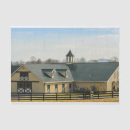 Nebel als Button Pferdestall und Stabil Seidenpapier