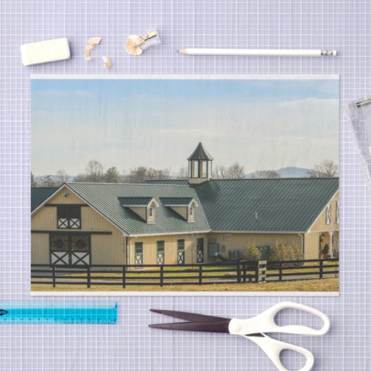 Nebel als Button Pferdestall und Stabil Seidenpapier (Handwerk)