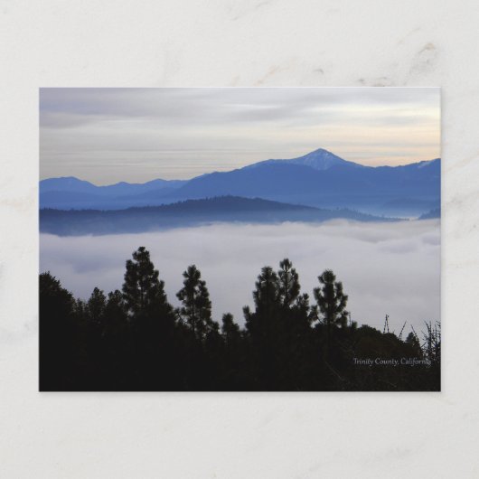 Nebel am frühen Morgen... Postkarte (Vorderseite)
