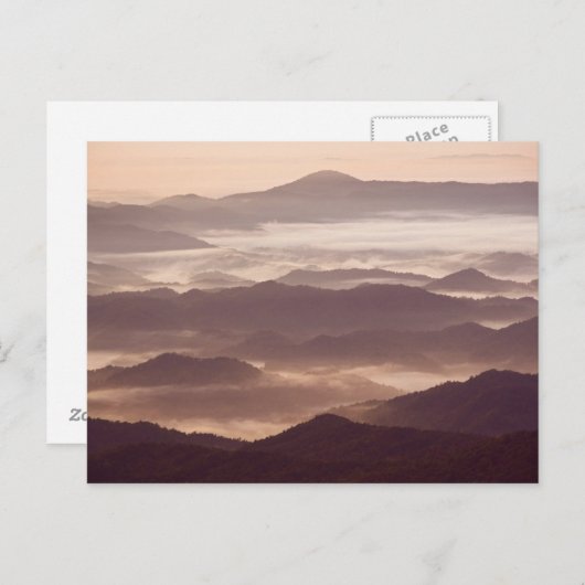 Nebel am Morgen im südlichen Appalachen Postkarte (Vorne/Hinten)