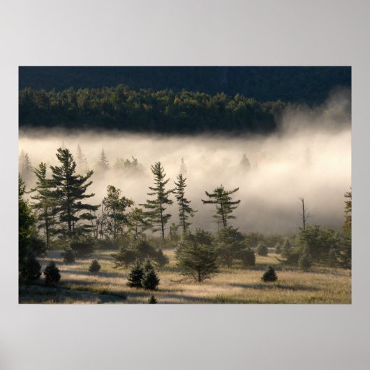 Nebel am Morgen in den Adirondacks 4 Poster (Vorne)
