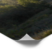 Nebel am Morgen in den Adirondacks 5 Poster (Ecke)