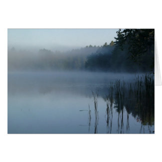 Nebel auf Bärenpfeffer