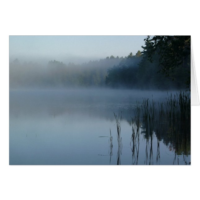 Nebel auf Bärenpfeffer (Vorderseite (Horizontal))