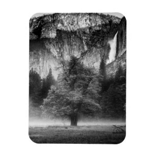 Nebel auf der Wiese Magnet