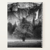 Nebel auf der Wiese Planer (Rückseite)
