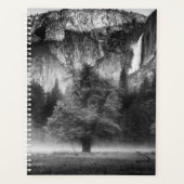Nebel auf der Wiese Planer (Vorderseite)