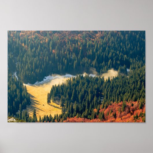 Nebel auf einem einsamen Herbstfeld Poster (Vorne)