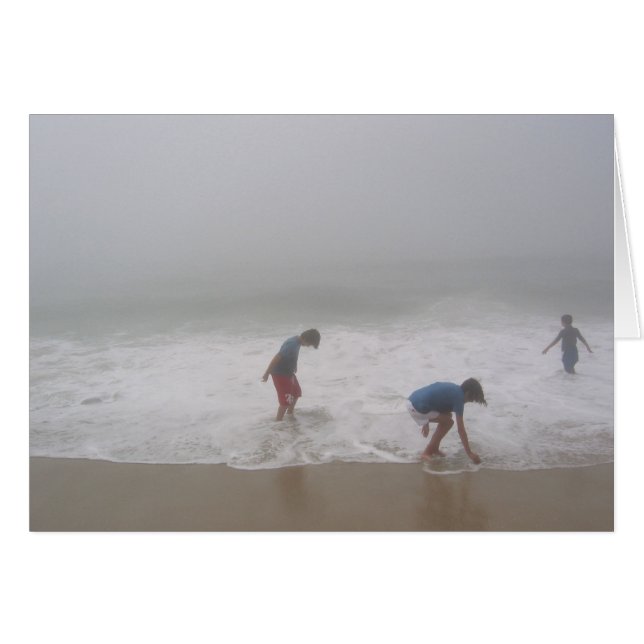 Nebel bei Robert Moses (Vorderseite (Horizontal))