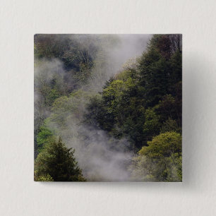 Nebel, der nach dem Frühlingsregen vom Berg aufste Button