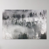 Nebel durch die Bäume rollen Poster (Vorne)