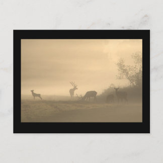 Nebel-Elch-Familie Postkarte