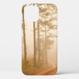 Nebel im Kiefernwald, schön, schwarz, dunkel, morg Case-Mate iPhone Hülle