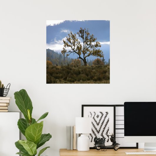 Nebel im Tal... Poster (Heimbüro)