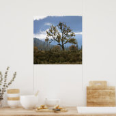 Nebel im Tal... Poster (Küche)